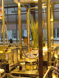 Helmholtz Centre for Environmental Research (UFZ)