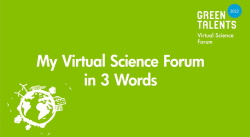 Virtual Science Forum 2022 in 3 words